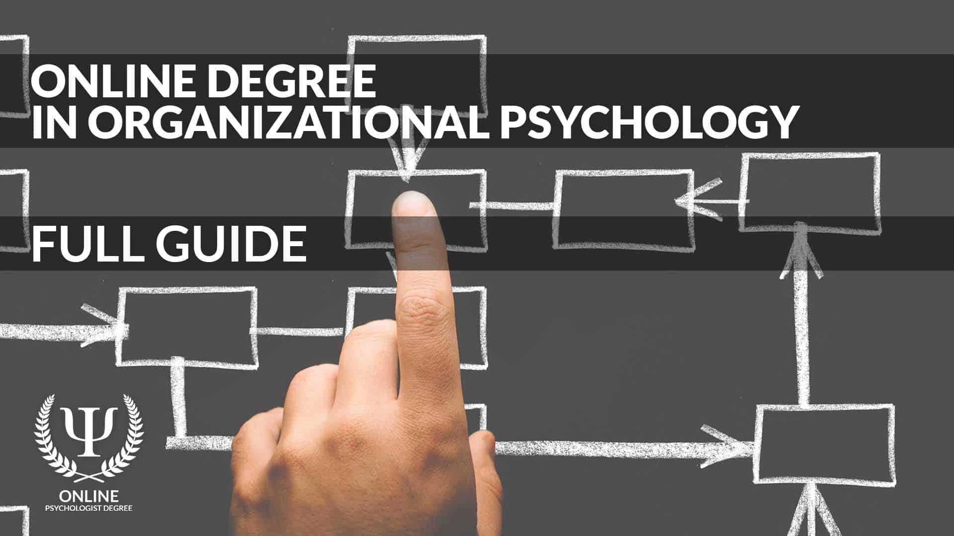 phd programs organizational psychology